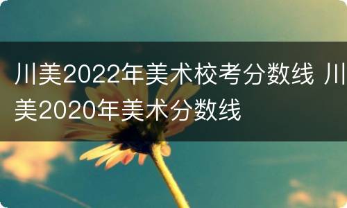 川美2022年美术校考分数线 川美2020年美术分数线