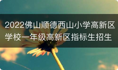 2022佛山顺德西山小学高新区学校一年级高新区指标生招生办法