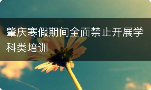 肇庆寒假期间全面禁止开展学科类培训