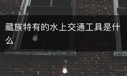 藏族特有的水上交通工具是什么