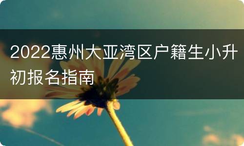 2022惠州大亚湾区户籍生小升初报名指南
