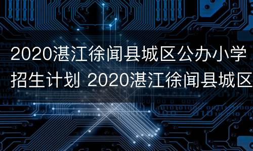 2020湛江徐闻县城区公办小学招生计划 2020湛江徐闻县城区公办小学招生计划公布