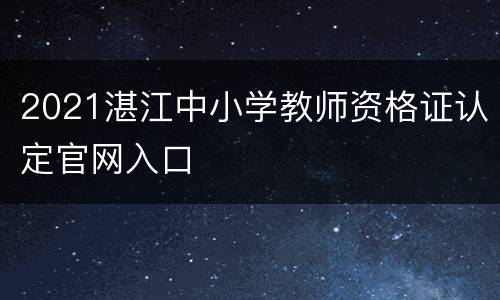 2021湛江中小学教师资格证认定官网入口