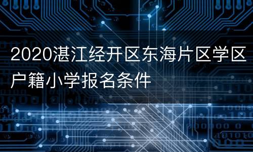 2020湛江经开区东海片区学区户籍小学报名条件