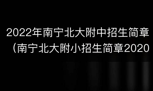 2022年南宁北大附中招生简章（南宁北大附小招生简章2020）