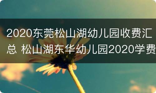 2020东莞松山湖幼儿园收费汇总 松山湖东华幼儿园2020学费