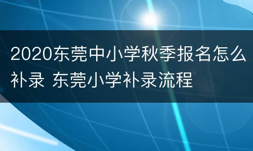 2020东莞中小学秋季报名怎么补录 东莞小学补录流程