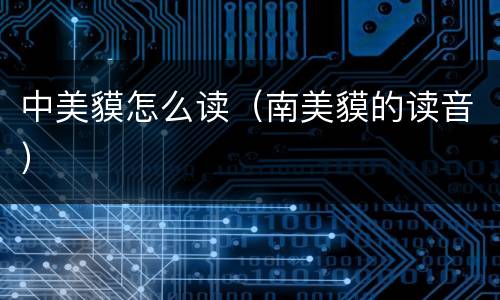 中美貘怎么读（南美貘的读音）