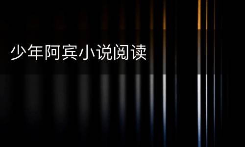 少年阿宾小说阅读