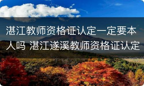 湛江教师资格证认定一定要本人吗 湛江遂溪教师资格证认定