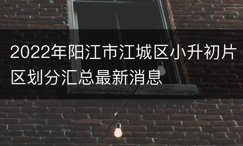 2022年阳江市江城区小升初片区划分汇总最新消息
