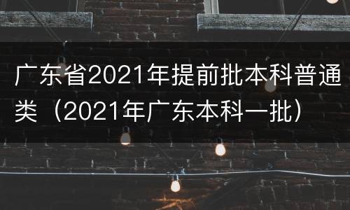 广东省2021年提前批本科普通类（2021年广东本科一批）