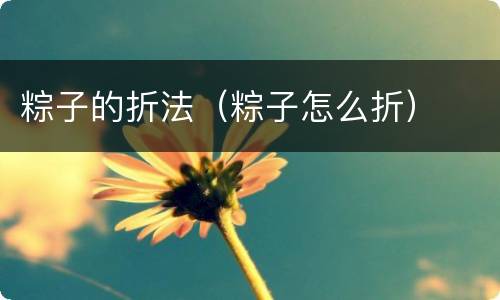 粽子的折法（粽子怎么折）