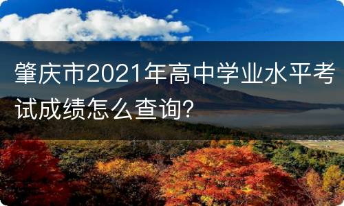 肇庆市2021年高中学业水平考试成绩怎么查询？