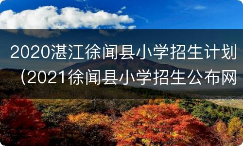 2020湛江徐闻县小学招生计划（2021徐闻县小学招生公布网站）