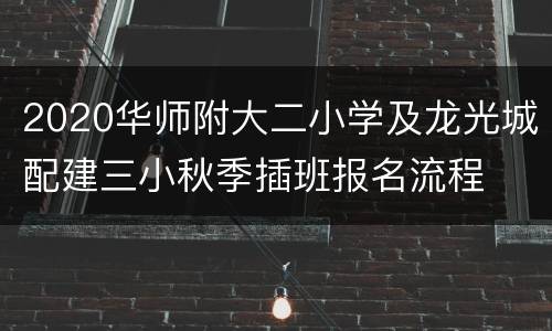 2020华师附大二小学及龙光城配建三小秋季插班报名流程