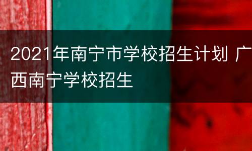2021年南宁市学校招生计划 广西南宁学校招生