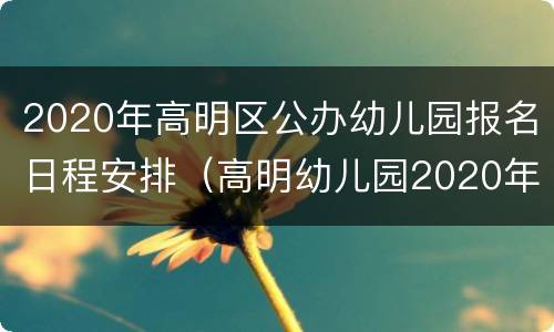 2020年高明区公办幼儿园报名日程安排（高明幼儿园2020年收费）