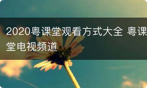 2020粤课堂观看方式大全 粤课堂电视频道