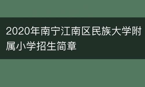 2020年南宁江南区民族大学附属小学招生简章