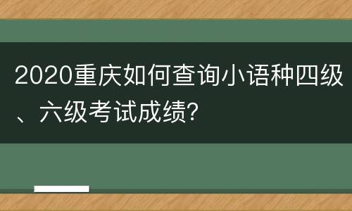 2020重庆如何查询小语种四级、六级考试成绩？