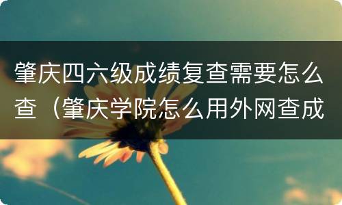 肇庆四六级成绩复查需要怎么查（肇庆学院怎么用外网查成绩）