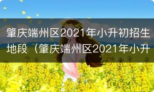 肇庆端州区2021年小升初招生地段（肇庆端州区2021年小升初招生地段在哪里）