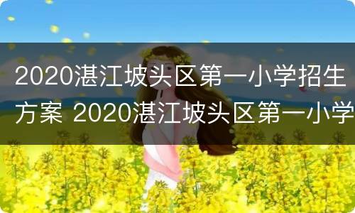2020湛江坡头区第一小学招生方案 2020湛江坡头区第一小学招生方案表
