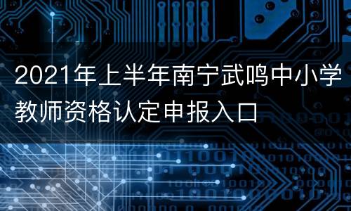 2021年上半年南宁武鸣中小学教师资格认定申报入口
