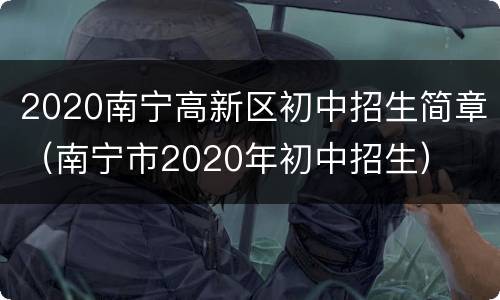 2020南宁高新区初中招生简章（南宁市2020年初中招生）