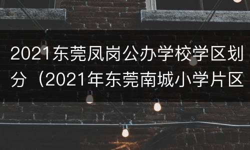 2021东莞凤岗公办学校学区划分（2021年东莞南城小学片区划分）