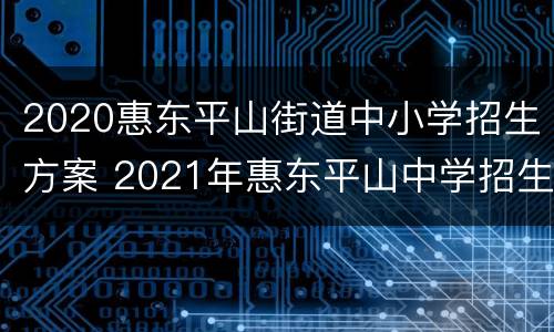 2020惠东平山街道中小学招生方案 2021年惠东平山中学招生