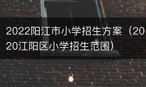 2022阳江市小学招生方案（2020江阳区小学招生范围）
