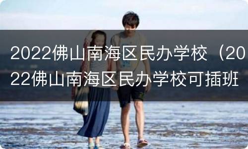 2022佛山南海区民办学校（2022佛山南海区民办学校可插班的学校有）