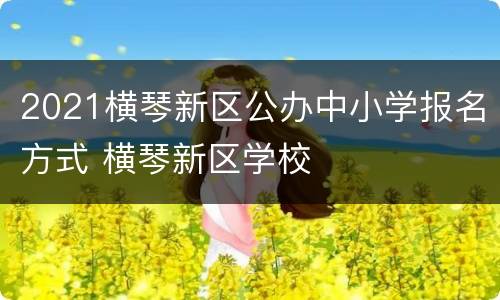 2021横琴新区公办中小学报名方式 横琴新区学校