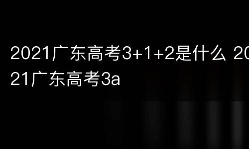 2021广东高考3+1+2是什么 2021广东高考3a