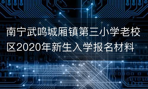 南宁武鸣城厢镇第三小学老校区2020年新生入学报名材料