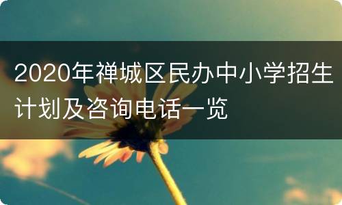 2020年禅城区民办中小学招生计划及咨询电话一览