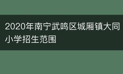 2020年南宁武鸣区城厢镇大同小学招生范围