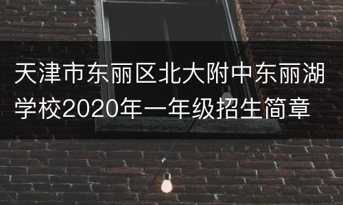 天津市东丽区北大附中东丽湖学校2020年一年级招生简章