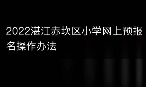 2022湛江赤坎区小学网上预报名操作办法