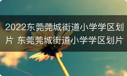2022东莞莞城街道小学学区划片 东莞莞城街道小学学区划片图