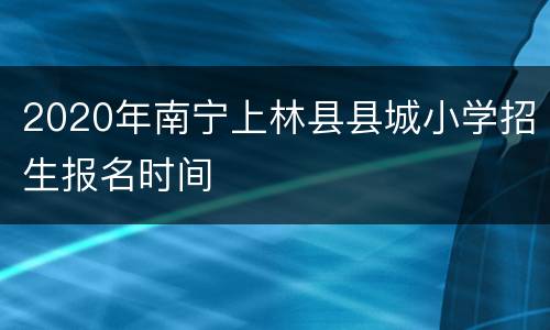 2020年南宁上林县县城小学招生报名时间