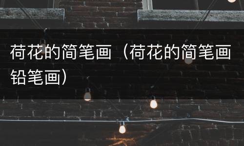 荷花的简笔画（荷花的简笔画铅笔画）