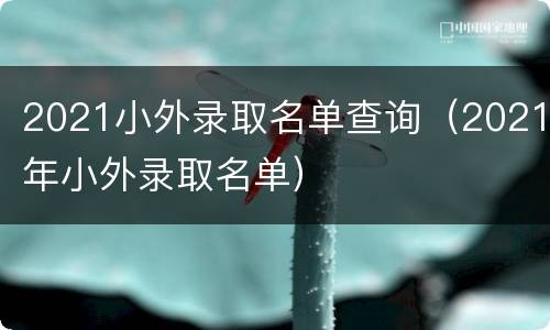 2021小外录取名单查询（2021年小外录取名单）