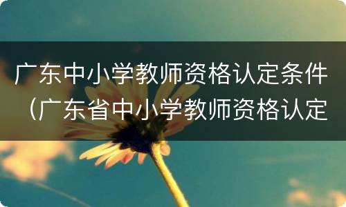 广东中小学教师资格认定条件（广东省中小学教师资格认定）