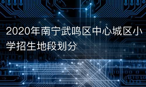 2020年南宁武鸣区中心城区小学招生地段划分