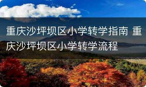 重庆沙坪坝区小学转学指南 重庆沙坪坝区小学转学流程