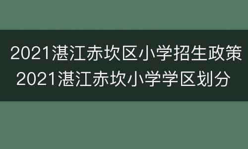 2021湛江赤坎区小学招生政策 2021湛江赤坎小学学区划分