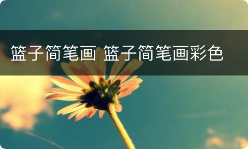 篮子简笔画 篮子简笔画彩色